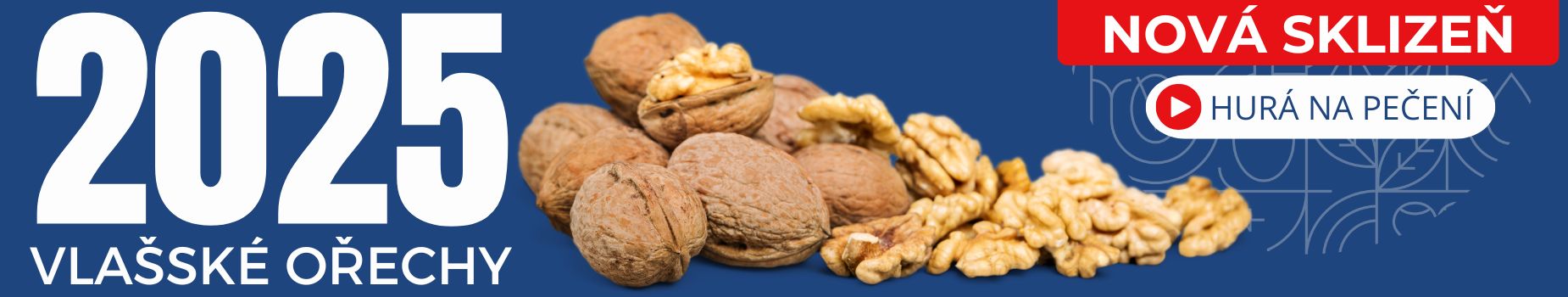 NUTSMAN VO 2025 (1850 × 350 px)